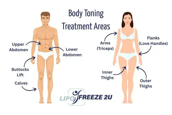 Graphic showing where you can have Body toning Treatment Norfolk on your body